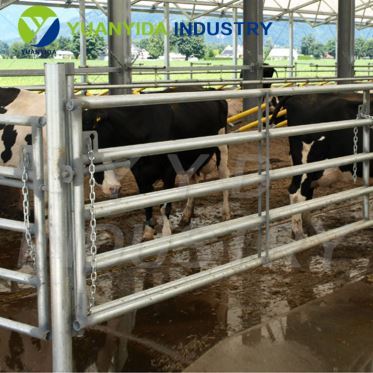 Cattle Gate